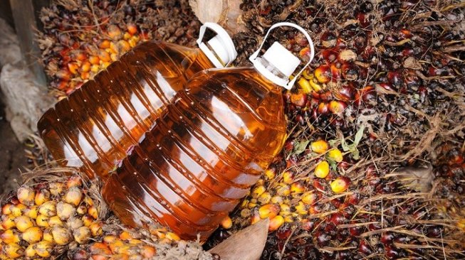 ekspor kelapa sawit ke china