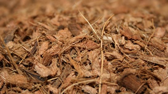 Utilization of Coconut Fiber