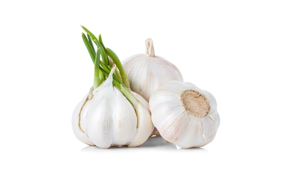 bisnis bawang putih kupas