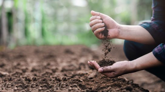 Soil improvement benefits