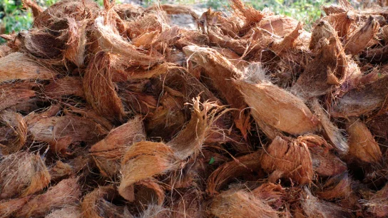 Sustainability of Coconut Fiber