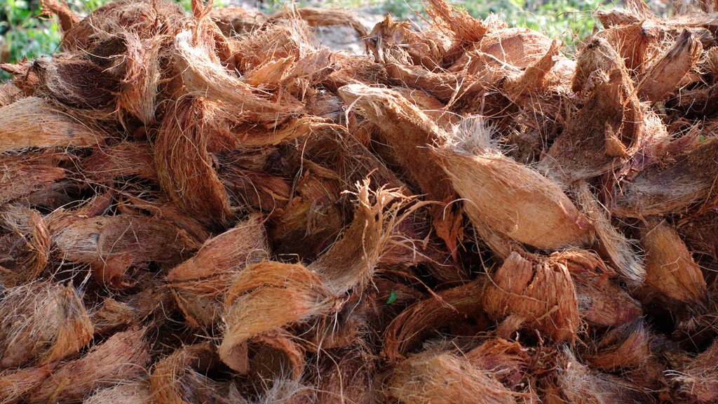Sustainability of Coconut Fiber