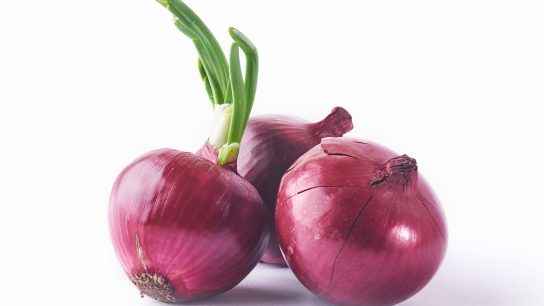 cara mengolah bawang merah untuk obat batuk