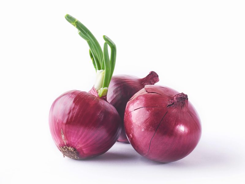 cara mengolah bawang merah untuk obat batuk