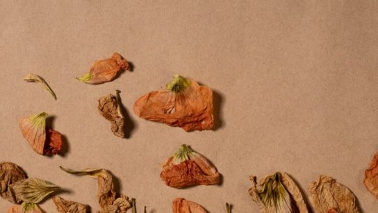 Cara Mengolah Sampah Kering