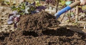 Bikin Kompos dari Daun Kering