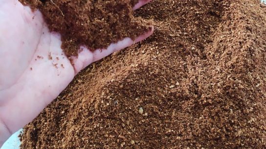 Cara Membuat Cocopeat dari Sabut Kelapa