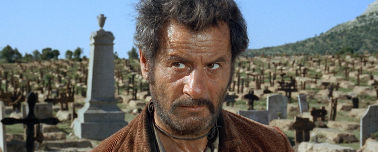 Close-Up Angle Video