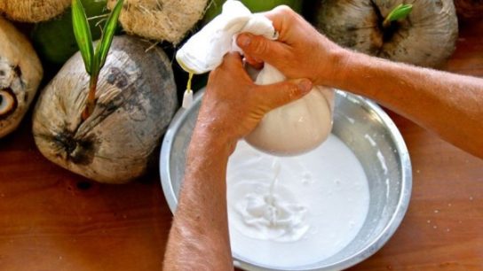 keuntungan usaha santan kelapa