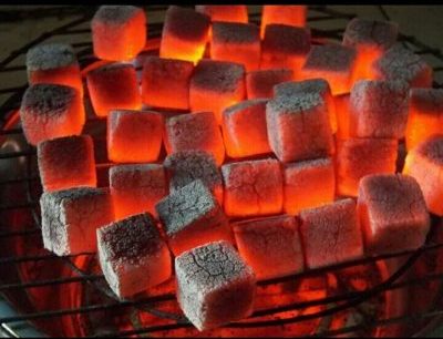 Eco-friendly coconut charcoal for restaurant grilling