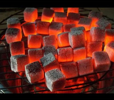 Eco-friendly coconut charcoal for restaurant grilling