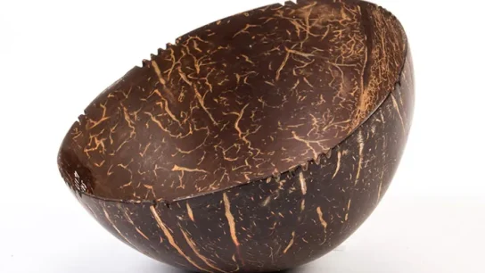 Olahan batok kelapa