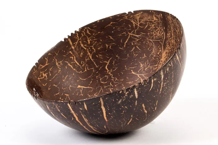 Olahan batok kelapa