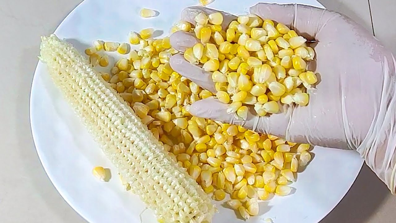 cara cepat merontokkan jagung