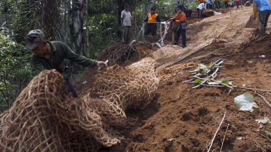 Sabut kelapa untuk revegetasi lahan