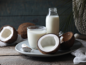 ekspor santan kelapa