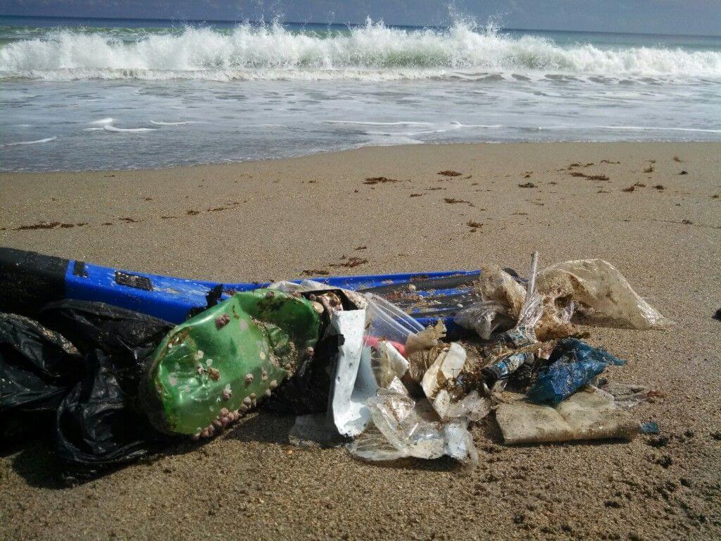 Pembersihan Pantai