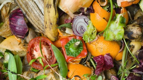 kompos dari sampah organik