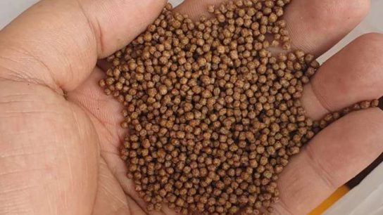 Manfaat Pelet untuk Ikan