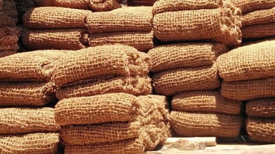 cocomesh sabut kelapa organik