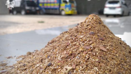 Pakan konsentrat sapi