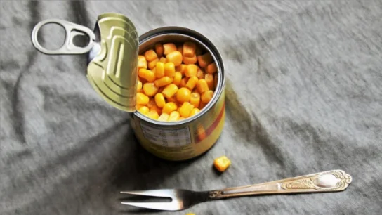 Cara Menyimpan Sayuran Kaleng agar Awet dan Tetap Bergizi