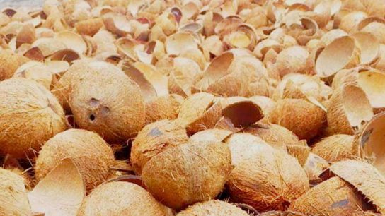 Kerajinan tempurung kelapa