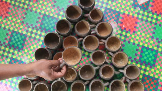 Dampak limbah tempurung kelapa