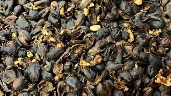 Cara Membuat Teh dari Kulit Kopi