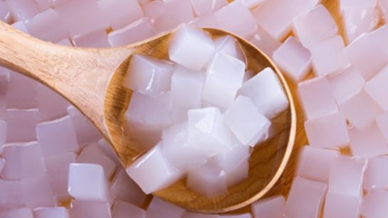 peluang uasaha nata de coco recipe