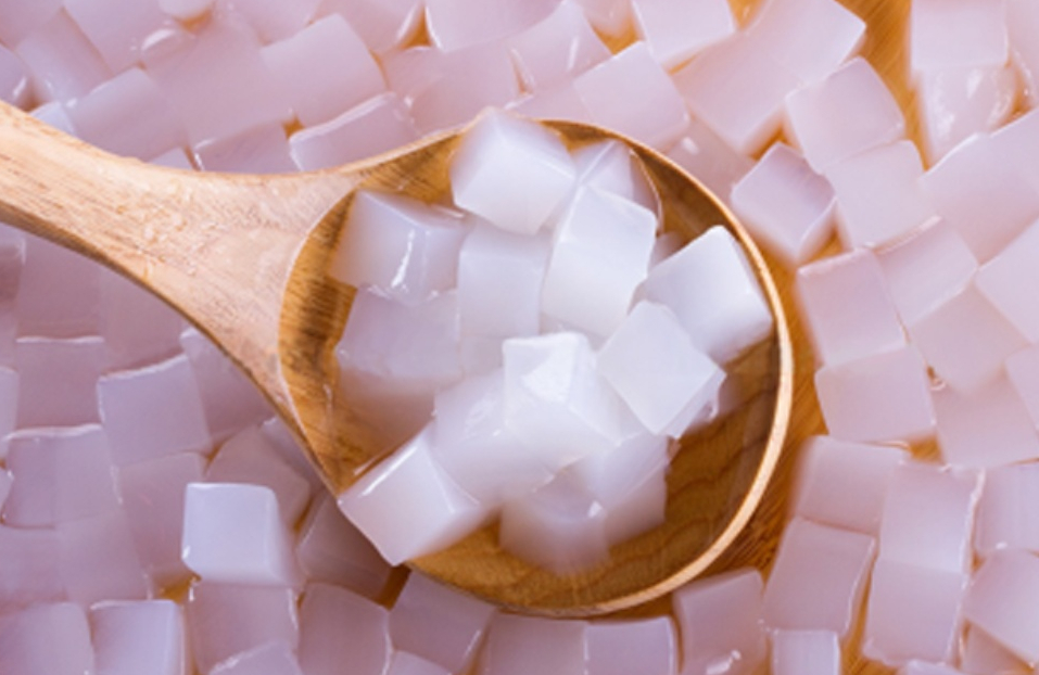 peluang uasaha nata de coco recipe