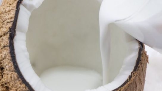 cara memulai usaha santan