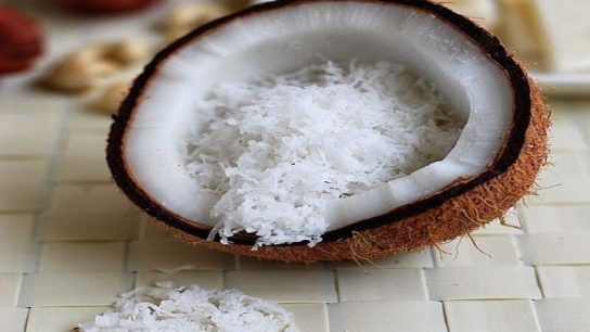 mesin parut kelapa terbaik