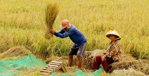 Krisis pasokan bahan pangan