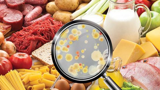 pengukuran mikrobiologi makanan sekolah