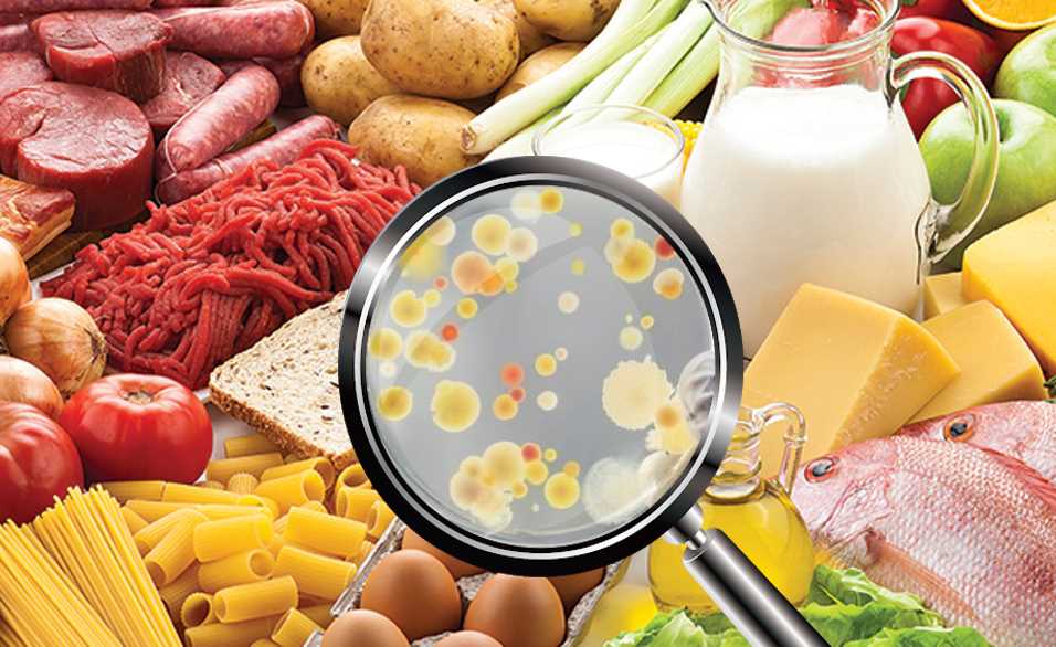 pengukuran mikrobiologi makanan sekolah