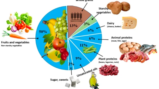 Otomatisasi Laporan Kebutuhan Gizi Ringkas Akurat