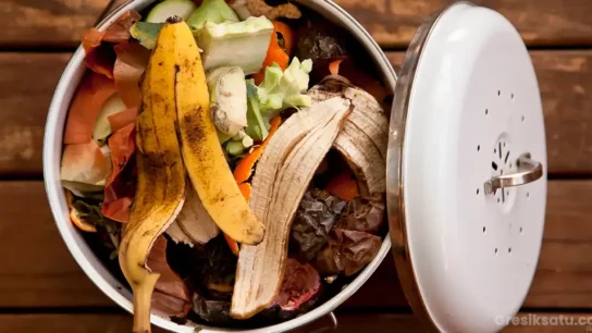 Pengelolaan Sisa Bahan Makanan Bijak Kreatif