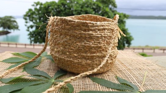 Produk Ramah Lingkungan Berbasis Sabut