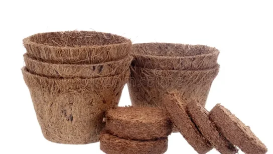 Inovasi Produk Turunan Sabut Kelapa