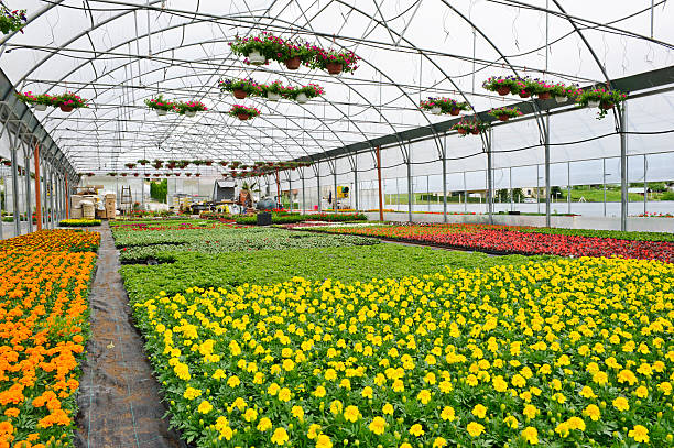 kebutuhan usaha pertanian intensif