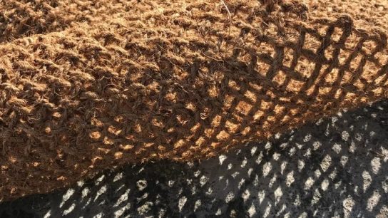 Solusi Alami Menjaga Permukaan