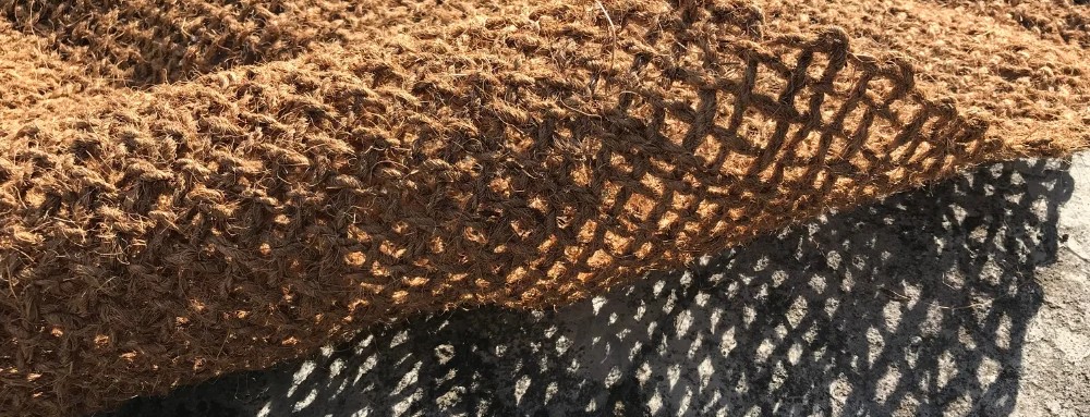 Solusi Alami Menjaga Permukaan