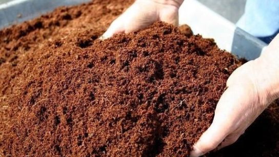 Cara Bikin Cocopeat dari Sabut Kelapa