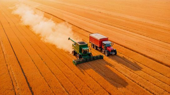 cara kerja mesin selep padi