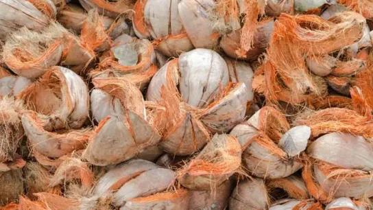 Mesin Pengolahan Sabut Kelapa Rumahan