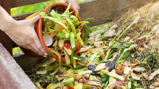 sampah apa saja yang bisa dikomposkan