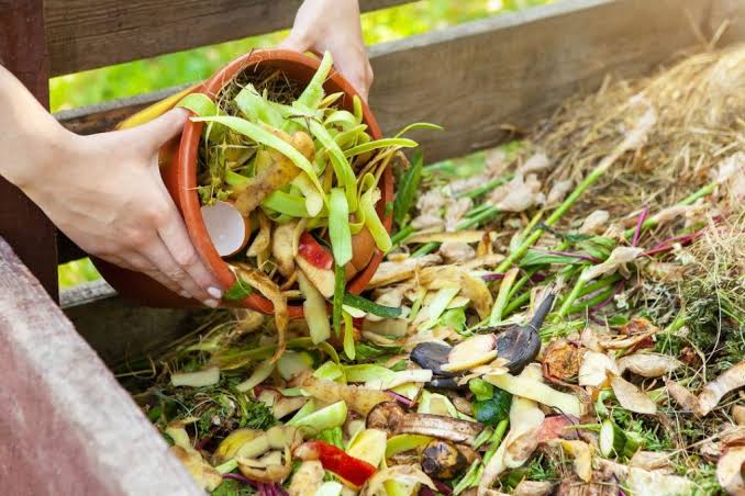 sampah apa saja yang bisa dikomposkan
