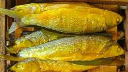 ikan