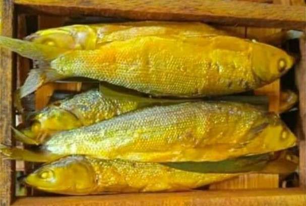 ikan